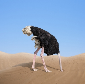 head-in-sand