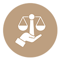 legal expertise icon